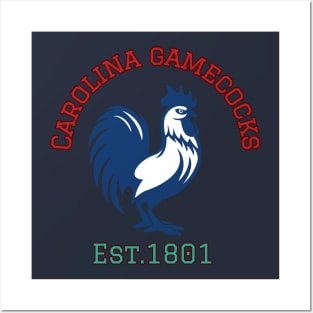 Carolina gamecocks Posters and Art